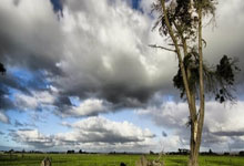 勇士队全队合力夺下关键胜利，前景大好