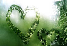 山东队阵容出现变动,实力或有所下降