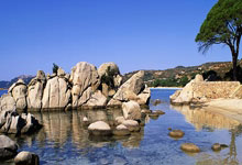 浙江男篮客场击败青岛队，继续进步